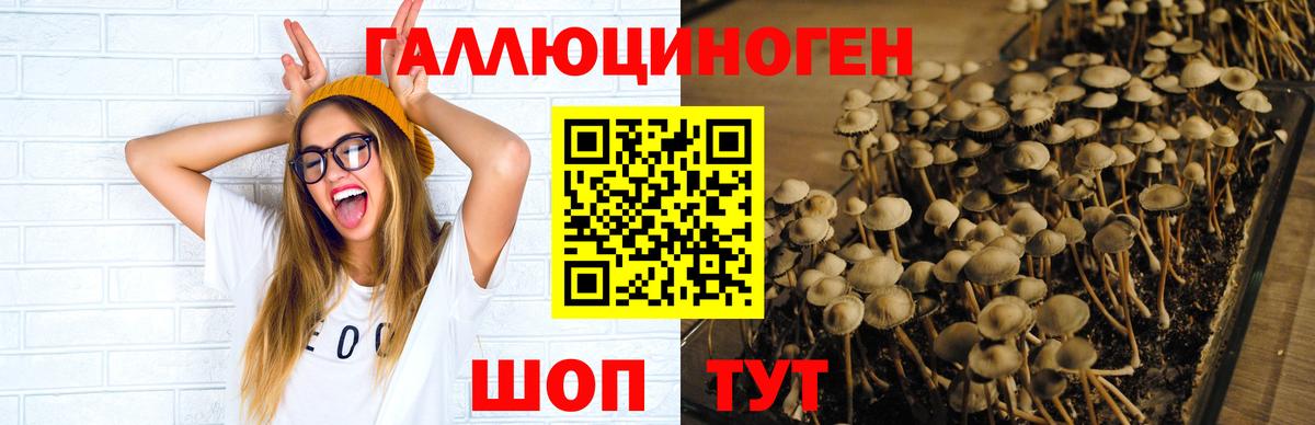 Галлюциногенные грибы мицелий Белорецк